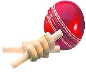 The Silver Memorial cricket tournament champion Hari Academy